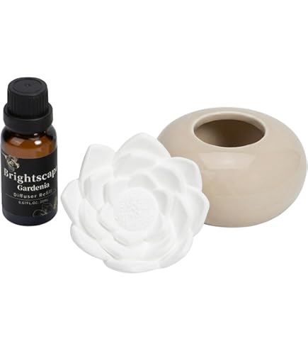 Amazon.com: Zodax White Rose Dream Porcelain Flower Aroma Diffuser